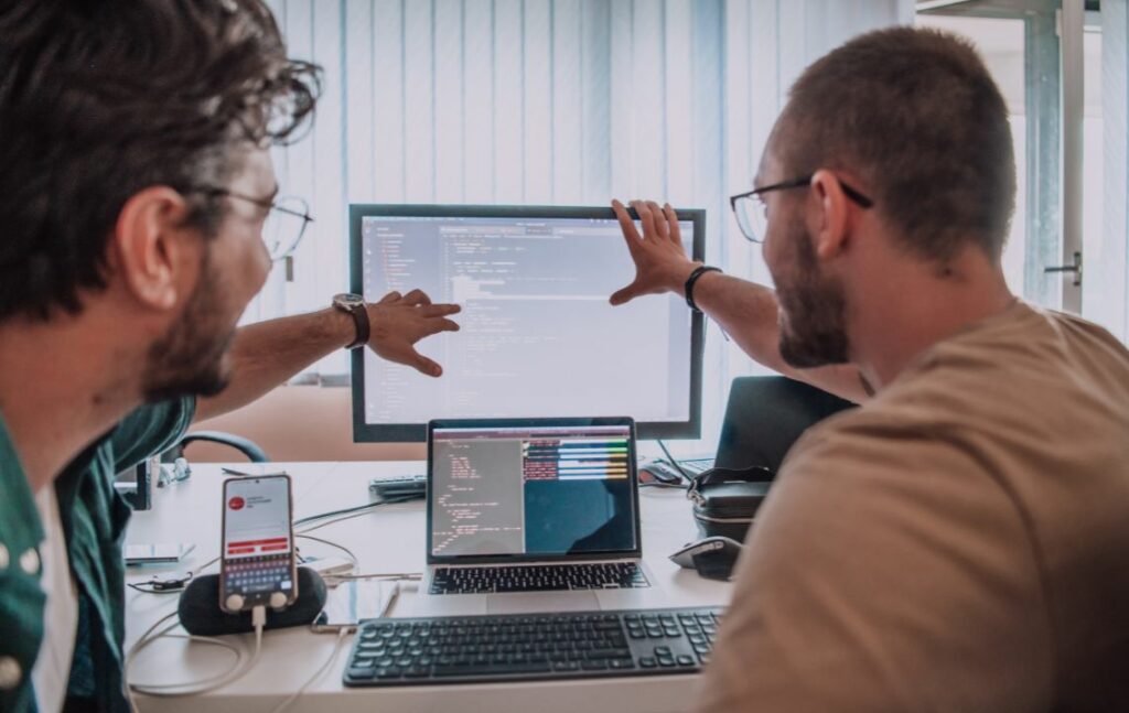 software development consulting