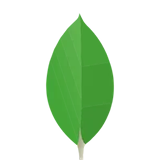 MongoDB